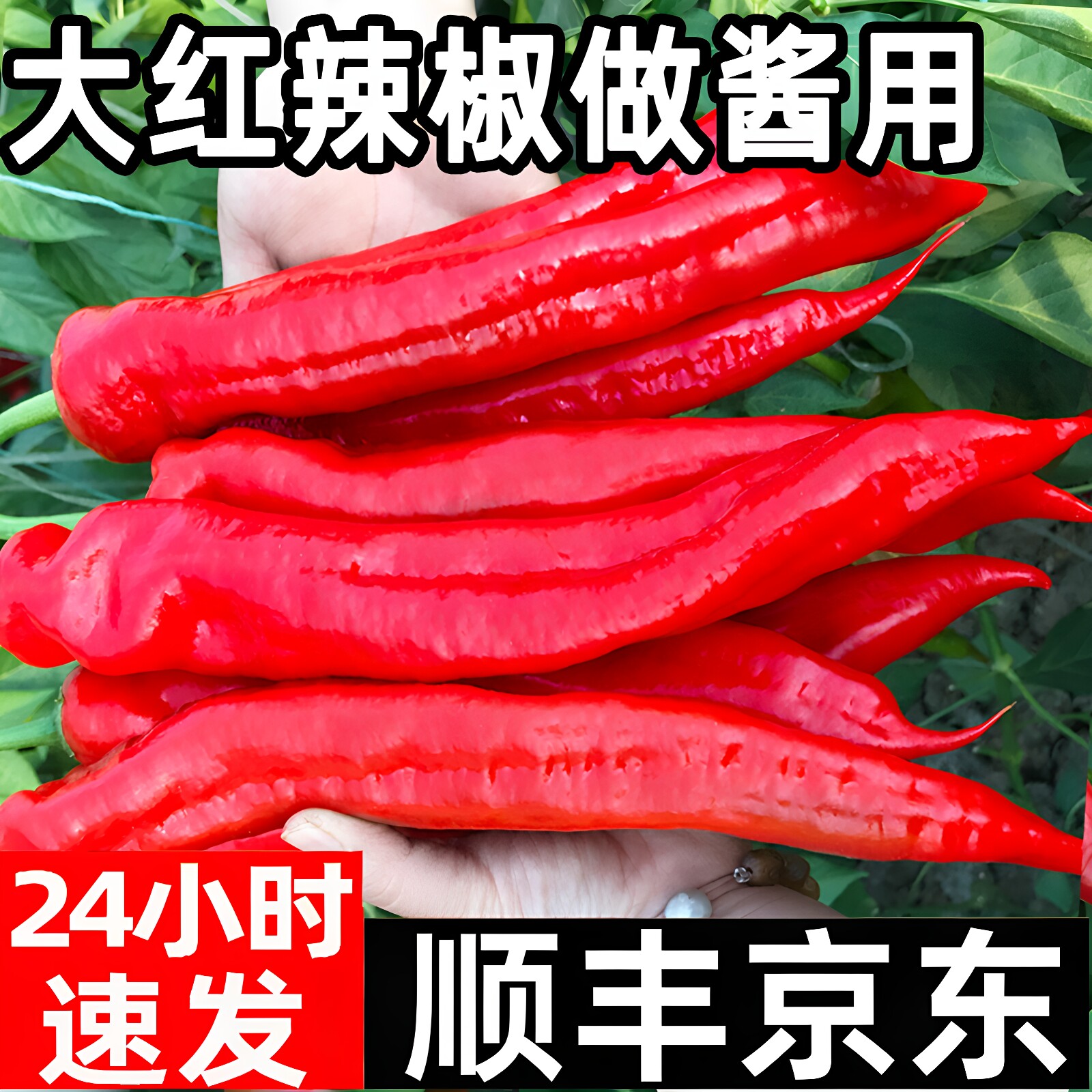 大红辣椒尖椒新鲜彩椒泡剁椒五彩甜椒小米辣朝天椒做辣椒酱用包邮