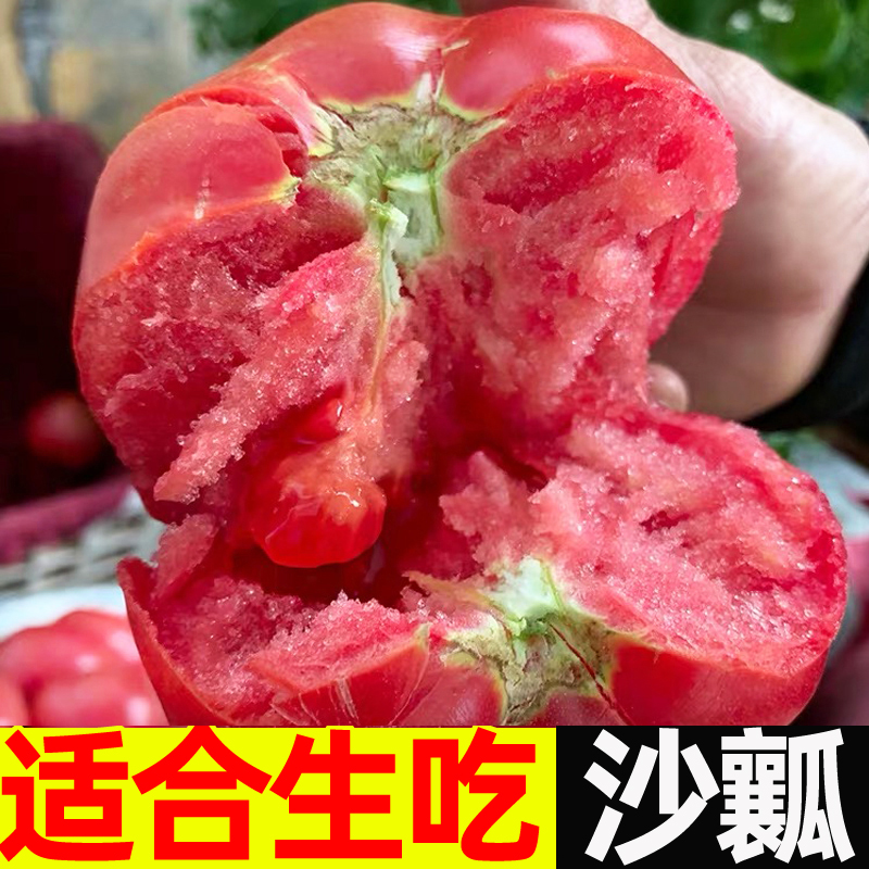 普罗旺斯西红柿新鲜10沙瓤自然熟