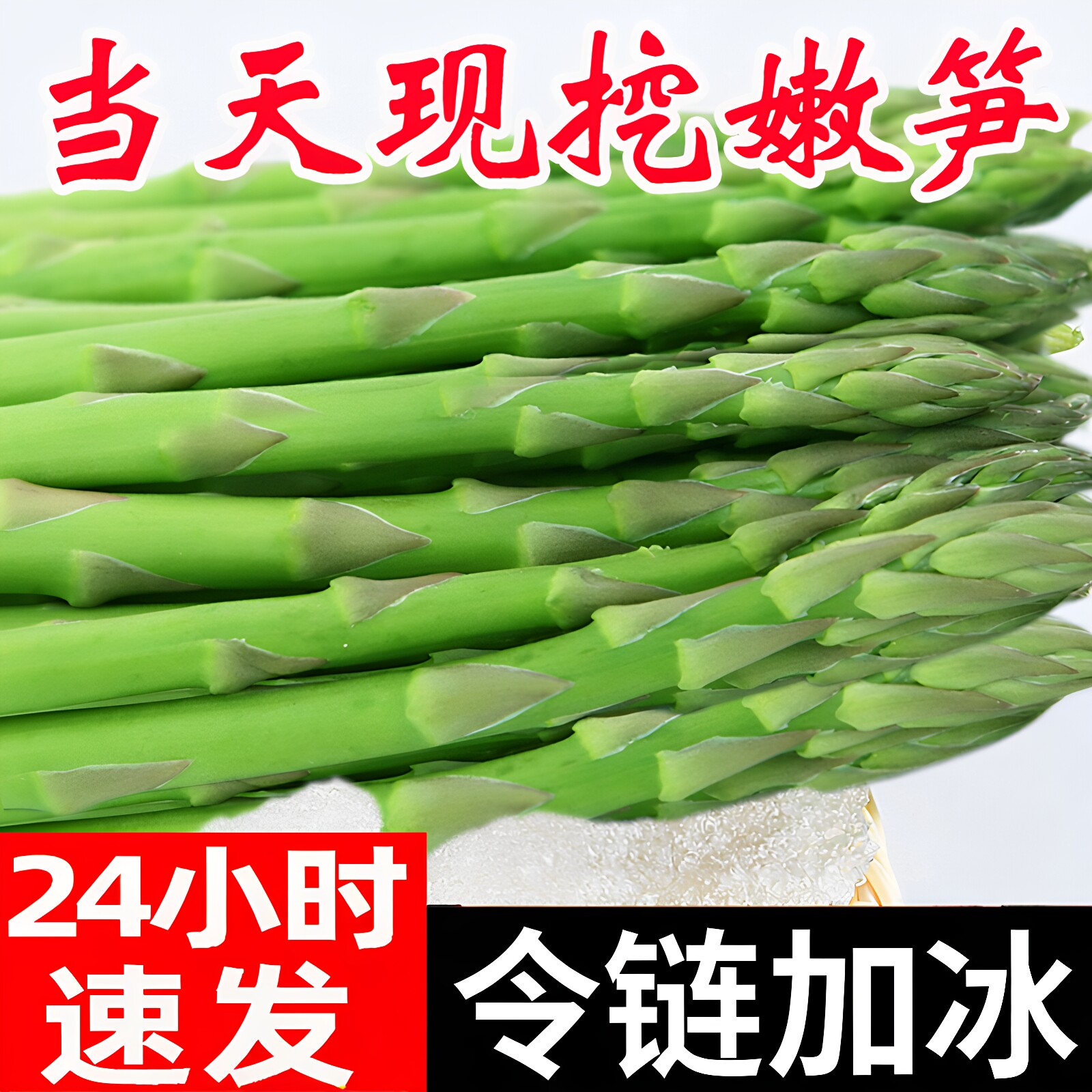 头茬芦笋新鲜特级产地直销现挖嫩青笋尖绿鲜芦笋嫩龙须菜蔬菜