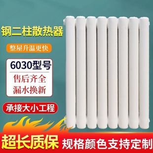 6030型钢二柱暖气片家用工程集中供热壁挂钢制散热器厂家直销包邮