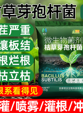 枯草芽孢菌杆菌正品微生物菌剂兰花桂花植物专用农用土壤改良剂