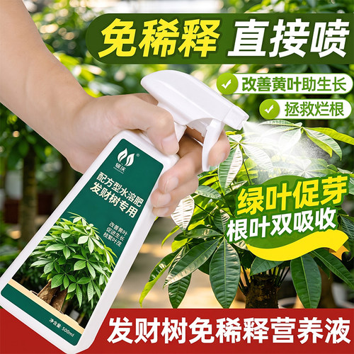 【猛长新芽】发财树专用水溶肥改善黄叶烂根助力壮苗免稀释专用肥