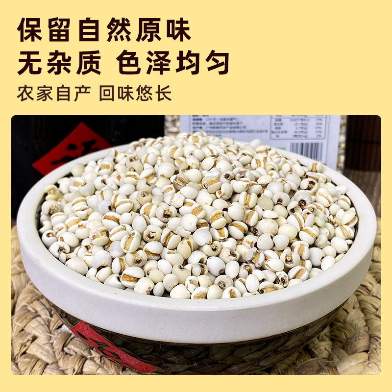 学子饭桌有机薏仁米新鲜意米可搭红豆薏苡仁五谷杂粮小薏米仁新货