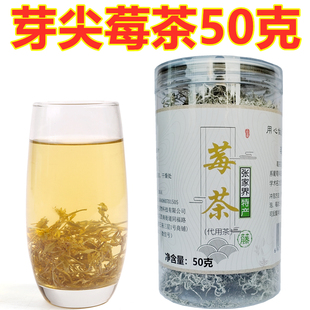 张家界野外生莓茶嫩芽藤茶莓茶藤甘露土家神茶新芽莓茶藤茶芽尖