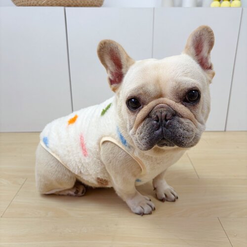 法斗衣服秋冬季加绒加厚保暖背心波点巴哥斗牛犬大码胖狗狗衣服冬
