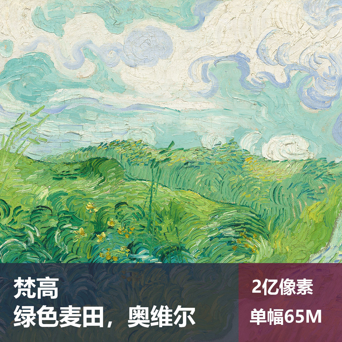 绿色麦田,奥维尔梵高高清油画原版作品装饰画喷绘图片素材