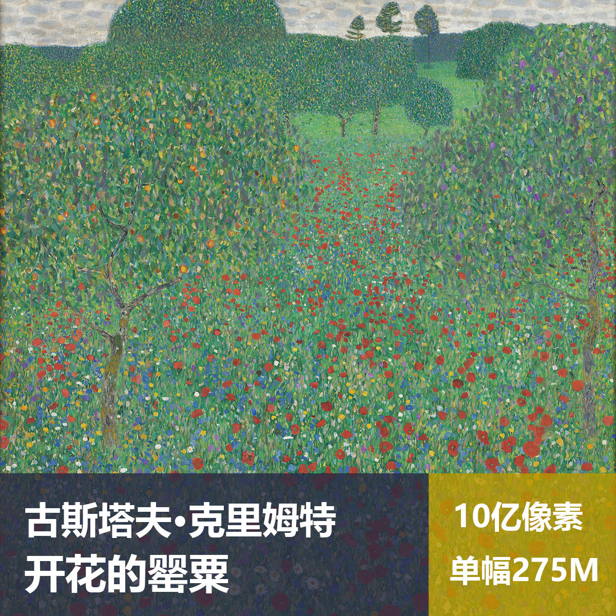 开花的罂粟克里姆特高清油画原版作品临摹装饰画喷绘图片素材