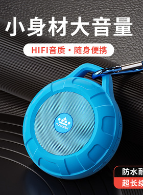 朗琴T350蓝牙小音箱迷你低音炮大音量户外运动便携式跑步插卡音响