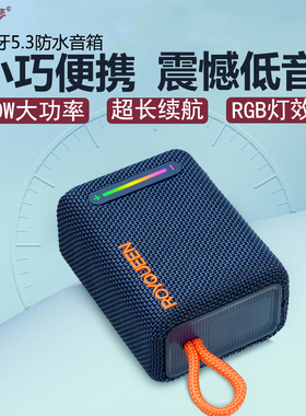 朗琴蓝牙音箱室外小型迷你便携式老年人长续航充电收音机无线音响