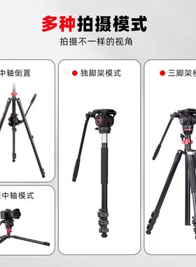 卡宴FP2450相机支架单反微单直播户外旅行拍摄三角架可变独脚架