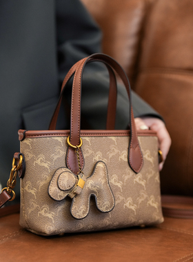 高级感轻奢老花菜篮子包女2025新款质感水桶包时尚手提单肩斜挎包