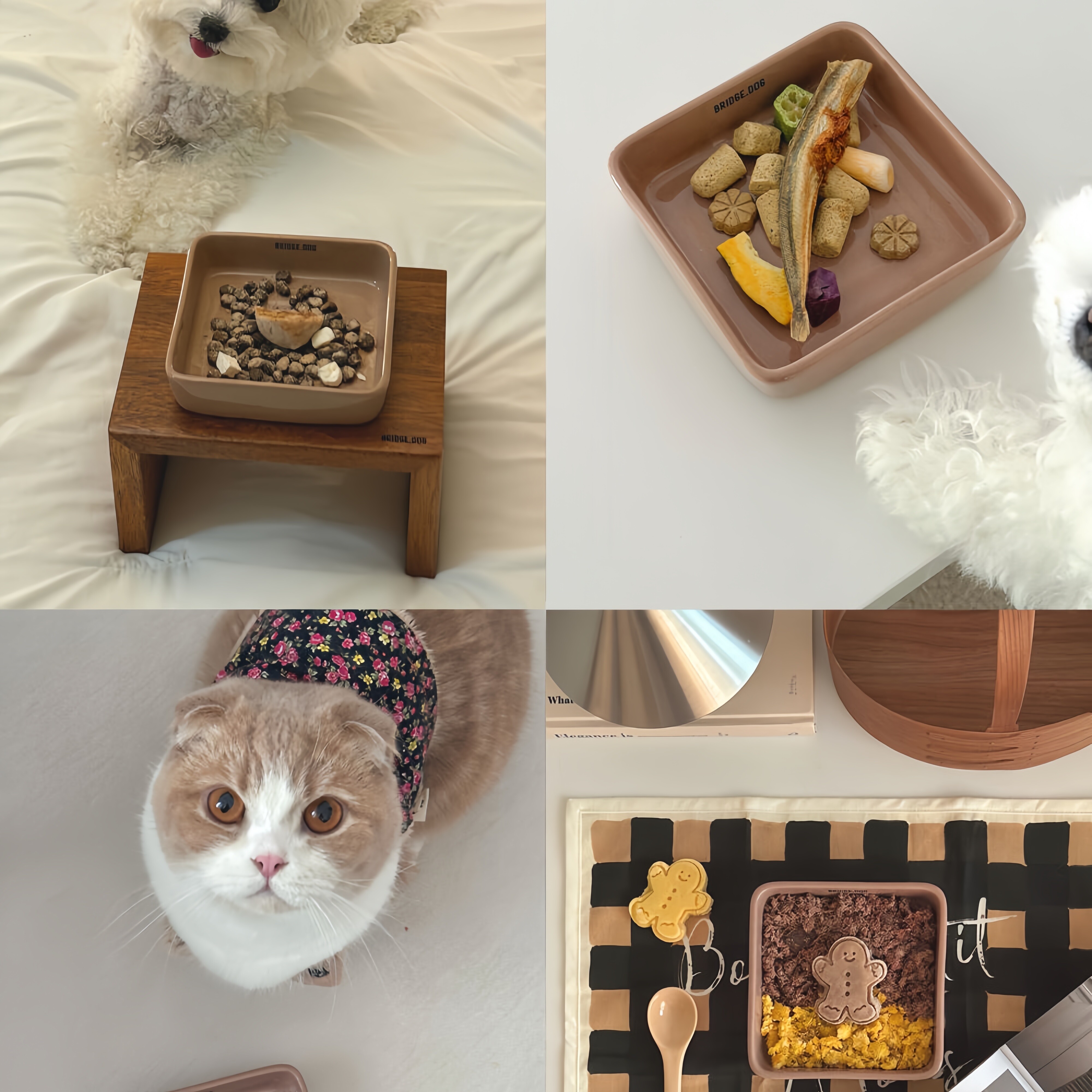 韩国进口Bridge.Dog陶瓷猫狗碗