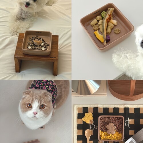 韩国进口Bridge.Dog陶瓷猫狗碗
