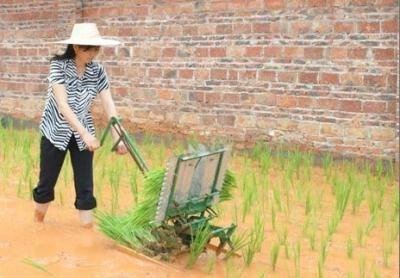 栽种栽秧幼苗蔬菜地瓜工具u插秧机机械移苗移栽器机器手动苗家用.