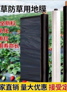速发新品黑色地膜农资塘底保暖塑料薄膜D防雾Q大棚膜黑膜水