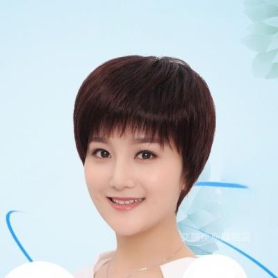 假发女短发蓬松自然逼真妈妈款中年短发发套直发发型