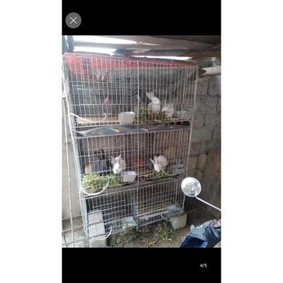 兔笼兔笼加粗子母兔笼养殖兔笼兔子笼特大号子母兔笼种兔笼养殖笼