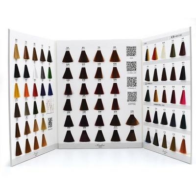 美发颜色色板理发店色卡染发色彩发发束色流行头发百变样板卡.