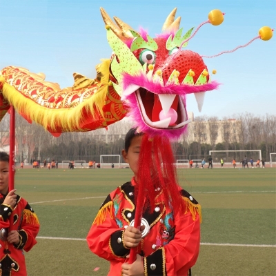 传统儿童舞龙道具元宵节过年耍龙中式中国风庙会舞台室外影视经