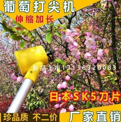 电动果树打尖机新型掐尖葡萄新款打头掐头去尖西瓜打草修枝旋转
