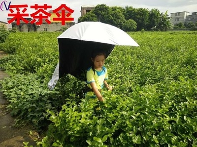 帽子伞头上下地短节钓鱼伞背带野钓旅游太阳伞便携式 防晒伞摘茶叶