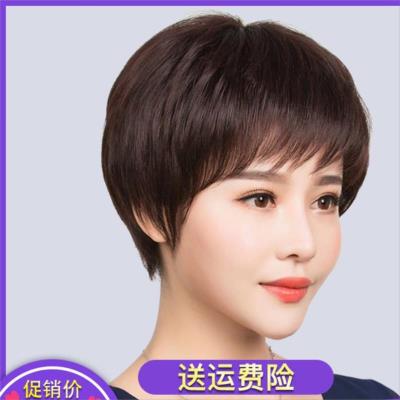 中老年人妈妈化疗假发女短发 短直发中长 光头逼真黑色真发全头套