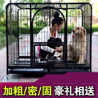 v垫板阿拉漏屎粪便脚狗中型阿拉斯加笼子小型漏室内加粗犬透气通