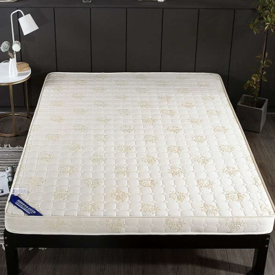 床垫软垫加厚一米八卧室垫子床x1.8家用午睡垫泡棉垫地上加宽米长
