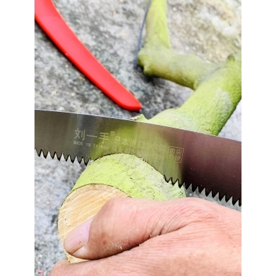 270弯锯园林果树锯子手工锯家用木锯木工园艺手锯修枝剪锯