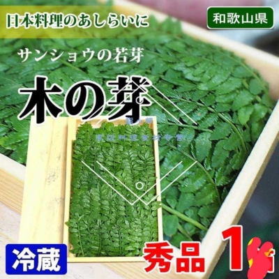鲤●日式花菜山椒叶和歌木之芽40g冷藏山椒叶寿司装饰花草