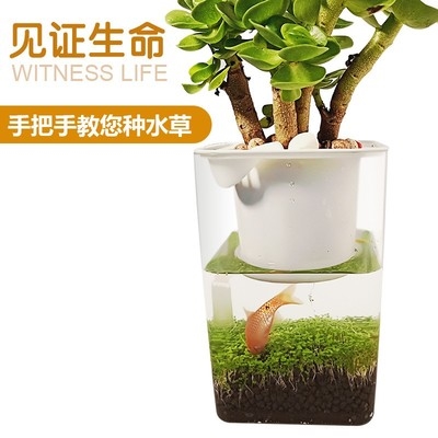 鱼菜共生系统设备全套小型加厚diy自制养鱼专用塑料懒人迷你鱼缸