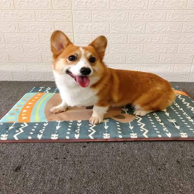 狗狗垫子夏天睡垫地垫四季凉席冰垫春夏法斗柯基丝透气耐咬窝垫