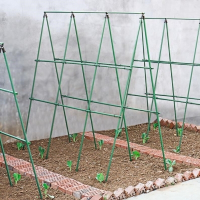 立体蔬菜铁架子庭院棚架园艺瓜豆藤蔓花园可调节黄瓜爬藤架家用