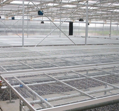品固定式网格养殖草莓苗移栽专用增产防护牛羊床大棚无土栽培移新