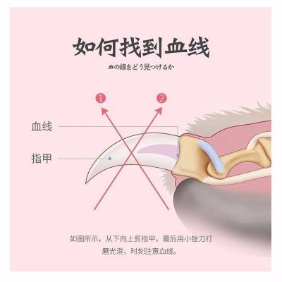 大aW8Tehs小型宠犬金毛泰迪剪猫咪指 物指甲狗狗指甲钳磨器套甲装