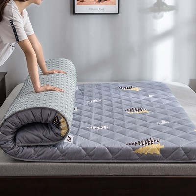 不塌陷床垫出租房用经济型床垫租房专用放地上厚垫子睡地上 海绵