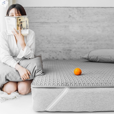 床垫家用 卧室 经济型胶床褥子垫被床垫软垫家用保护垫薄款防滑垫