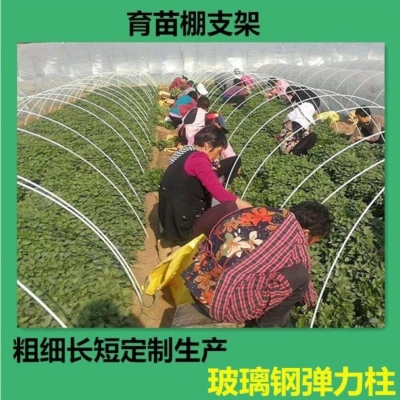 弯管拱形菜地拱架菜棚竿温室通用大棚园林固定盆栽蔬菜小拱棚支架