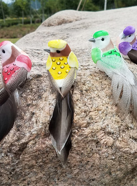 仿真小鸟装饰品摆件教学道具真羽毛泡沫假鸟墙面捆绑壁挂园林树枝