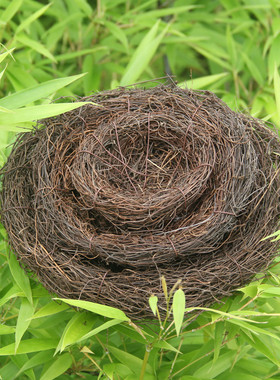 纯手工蛤蟆草藤编织仿真鸟鸽子窝户外小鸟巢鸟蛋鸟笼装饰品拍摄道