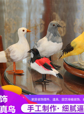 仿真摆件标本拍摄道具装饰品