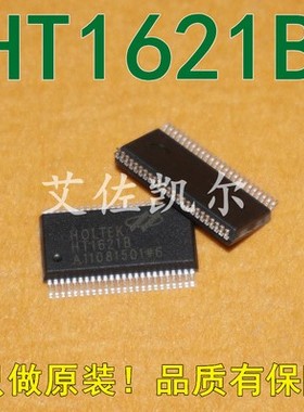 HT1621B LCD驱动器 液晶芯 贴片SSOP48 全网超低价 支持一个起拍