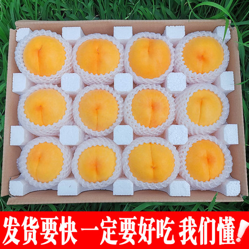 12年老店陕西高原中秋蜜黄桃