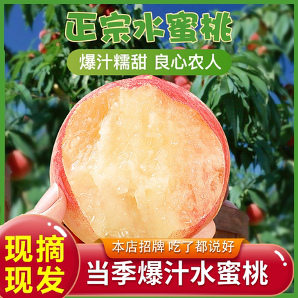 陕西高原桃子水蜜桃甜脆口感  桃子新现摘鲜应季货水果4.5/8.5斤