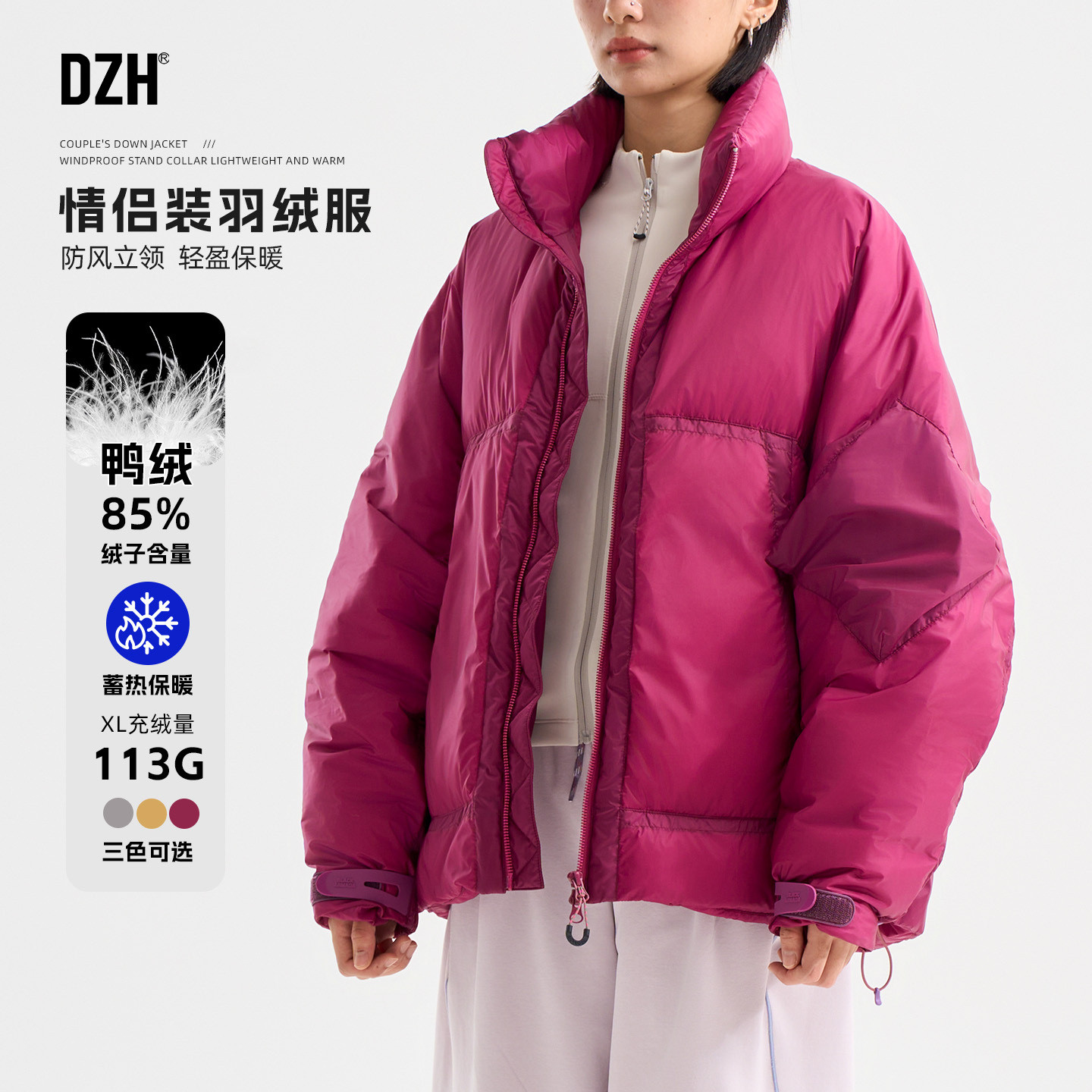 男士立领羽绒服男款冬季加厚2025新款高级感潮牌帅气情侣羽绒外套