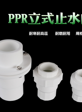 PPR立式止回阀4分6分1寸PPR单向阀20/25/32/40/50/63PPR逆止阀