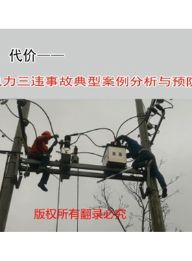 2024安全月代价--电力三违事故典型案例分析与预防(U盘)