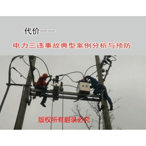 2024安全月代价--电力三违事故典型案例分析与预防(U盘)