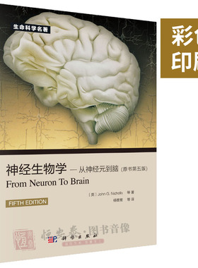 【正版现货】神经生物学从神经元到脑（原书第五版）第5版 尼克尔斯 杨雄里译 生命科学名著丛书神经细胞脑科学基础书籍神经医学