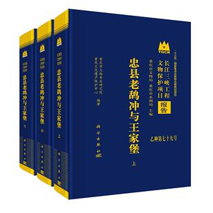忠县老鸹冲与王家堡9787030843319重庆市文物考古研究院